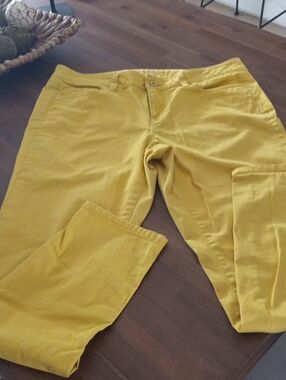 Ann Taylor Loft Yellow Modern Skinny